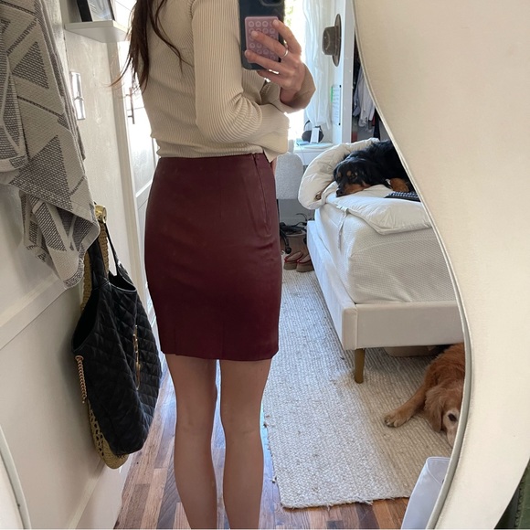 The Row Ebarg Leather Mini Skirt Plum - Picture 8 of 10